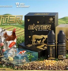 ENTER